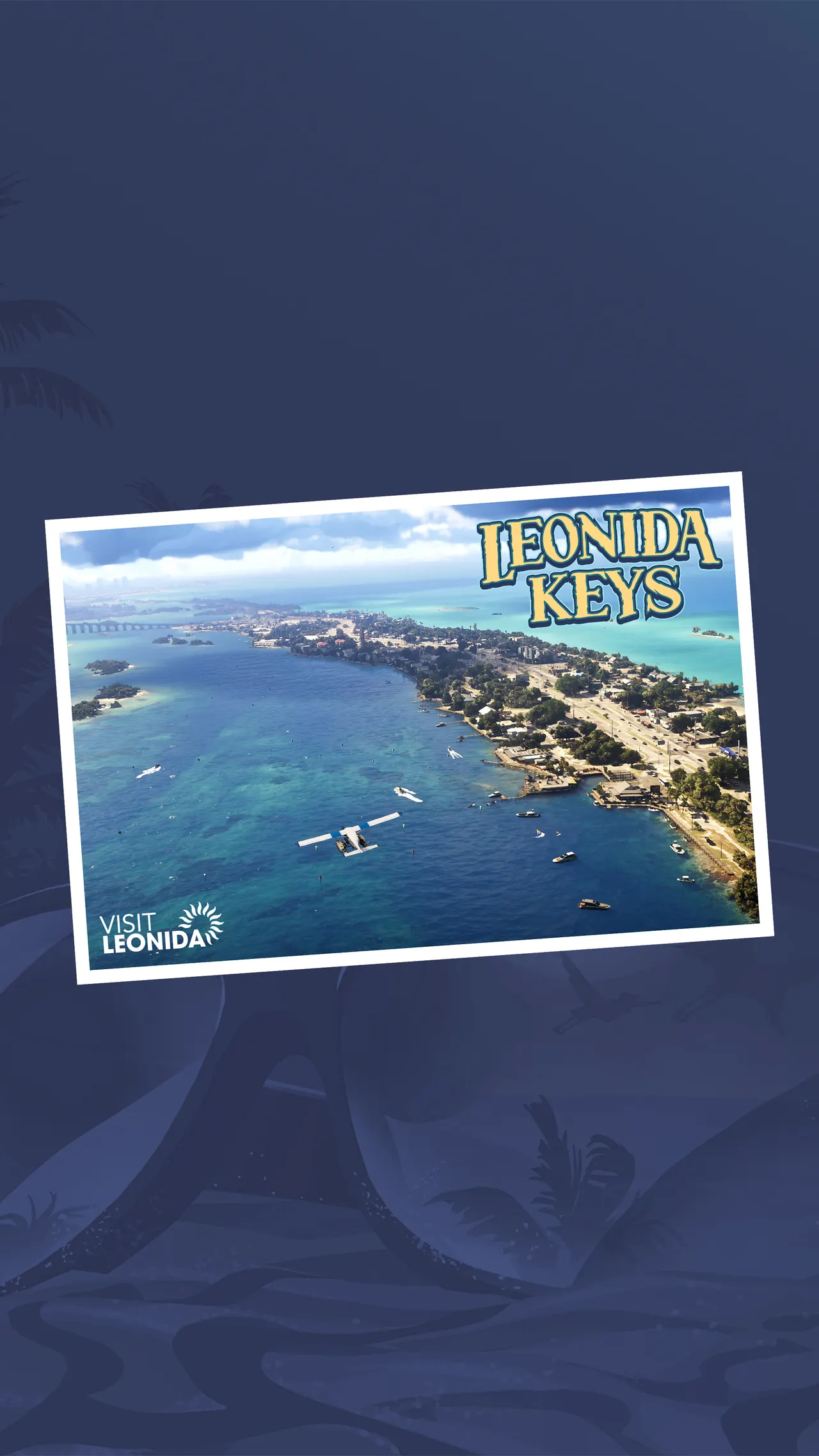Leonida Overview